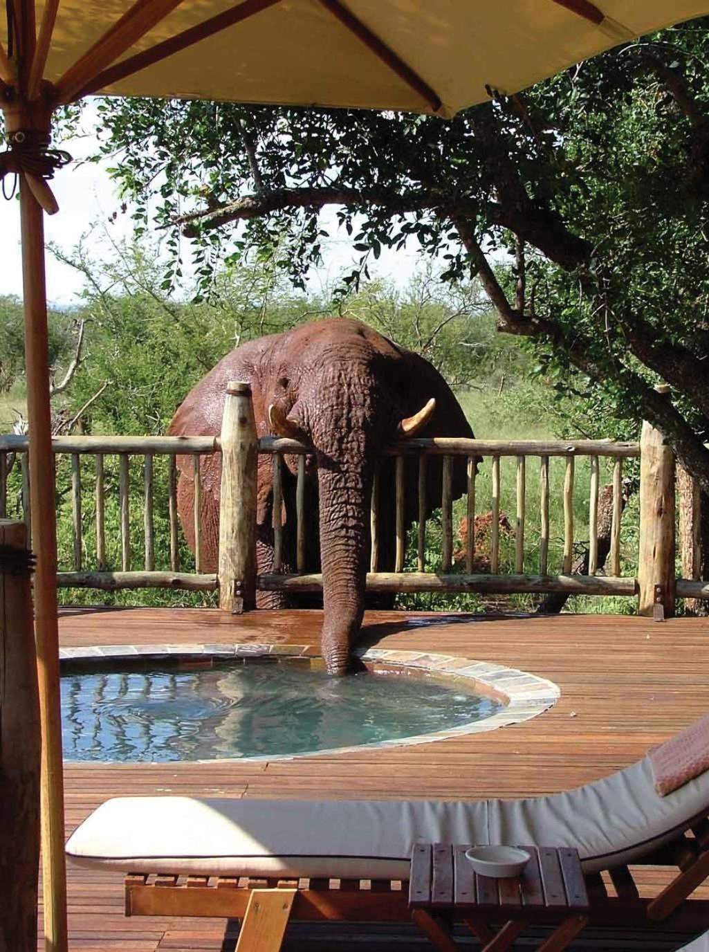 Etali Safari Lodge محميّة ماديكوي الطبيعيّة للطرائد المظهر الخارجي الصورة